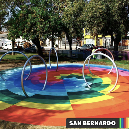 Proyecto comunitario realizado en San Bernardo